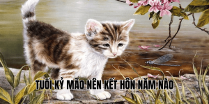 Tuổi Ất Hợi Nên Kết Hôn Năm Nào Để Hôn Nhân Hạnh Phúc?
